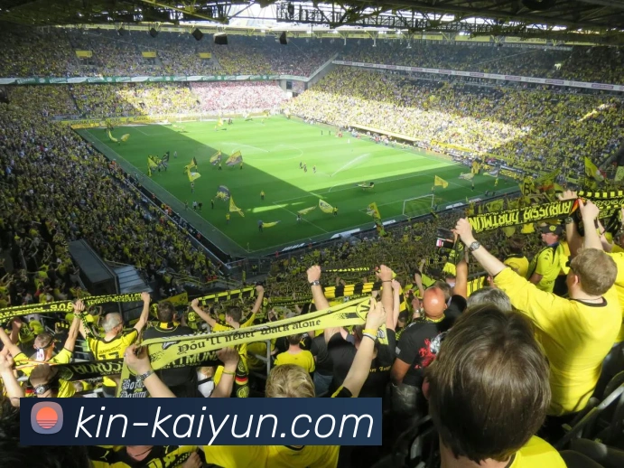 开云平台生态图